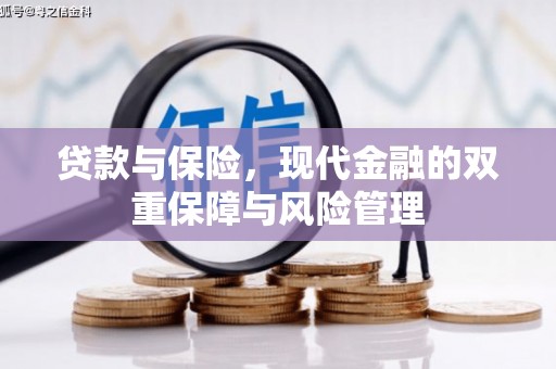 邵阳县贷款与保险，现代金融的双重保障与风险管理