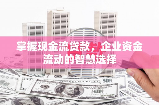 邵阳县掌握现金流贷款，企业资金流动的智慧选择