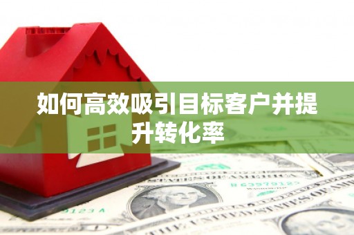 邵阳县如何高效吸引目标客户并提升转化率