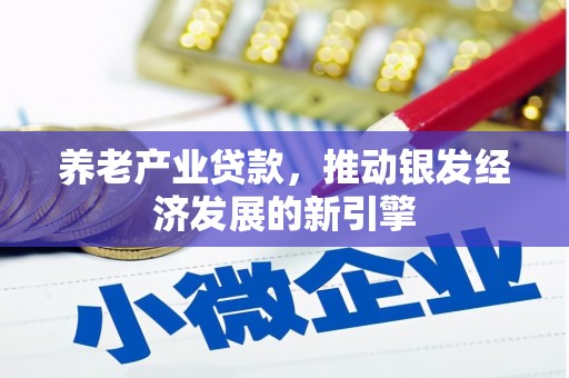 邵阳县养老产业贷款，推动银发经济发展的新引擎