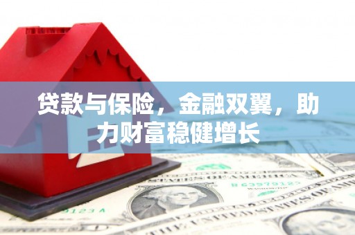 邵阳县贷款与保险，金融双翼，助力财富稳健增长