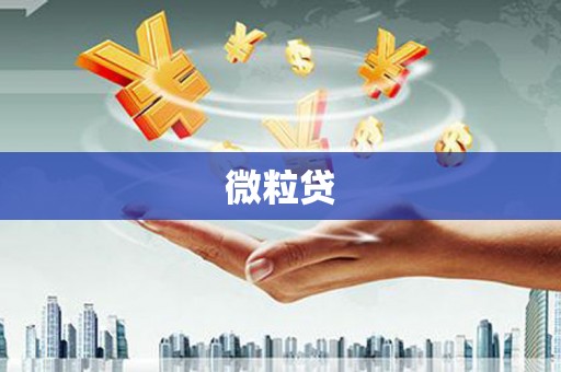 邵阳县微粒贷
