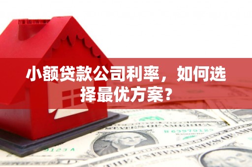 邵阳县小额贷款公司利率，如何选择最优方案？
