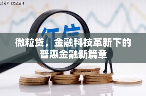 邵阳县微粒贷，金融科技革新下的普惠金融新篇章