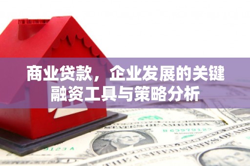 邵阳县商业贷款，企业发展的关键融资工具与策略分析
