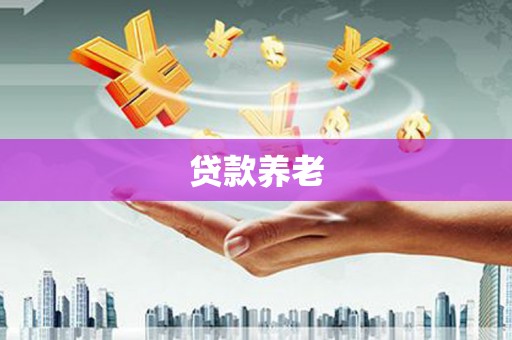 邵阳县贷款养老