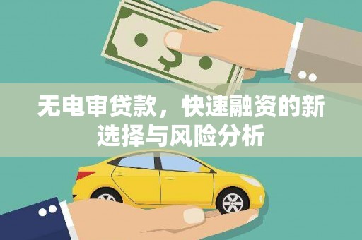 邵阳县无电审贷款，快速融资的新选择与风险分析