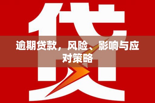 邵阳县逾期贷款，风险、影响与应对策略