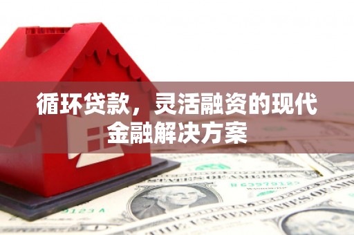 邵阳县循环贷款，灵活融资的现代金融解决方案