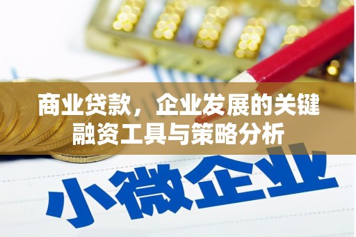 邵阳县商业贷款，企业发展的关键融资工具与策略分析