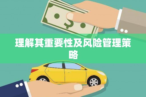 邵阳县理解其重要性及风险管理策略