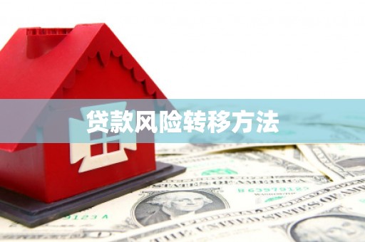 邵阳县贷款风险转移方法