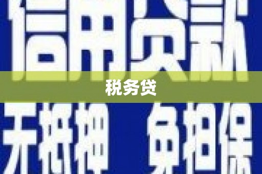 邵阳县税务贷