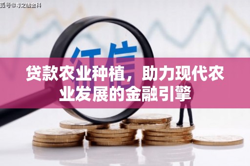 邵阳县贷款农业种植，助力现代农业发展的金融引擎