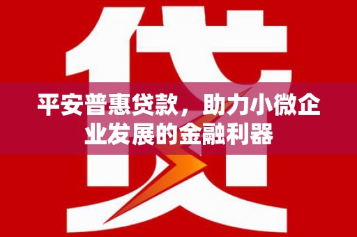 邵阳县平安普惠贷款，助力小微企业发展的金融利器