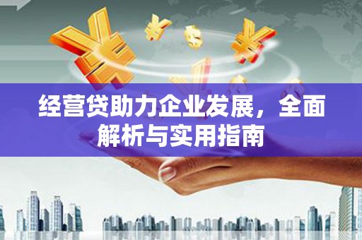邵阳县经营贷助力企业发展，全面解析与实用指南