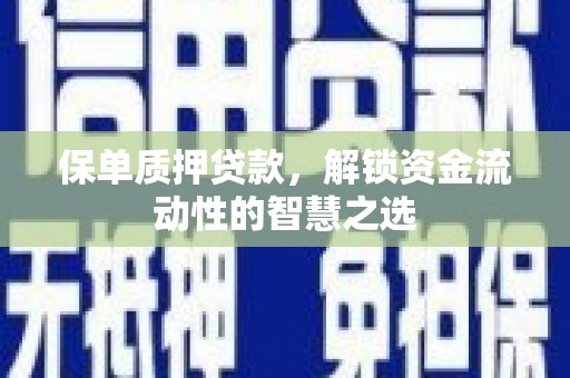 邵阳县保单质押贷款，解锁资金流动性的智慧之选