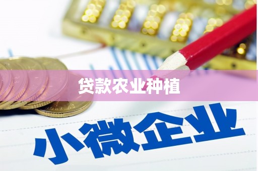 邵阳县贷款农业种植