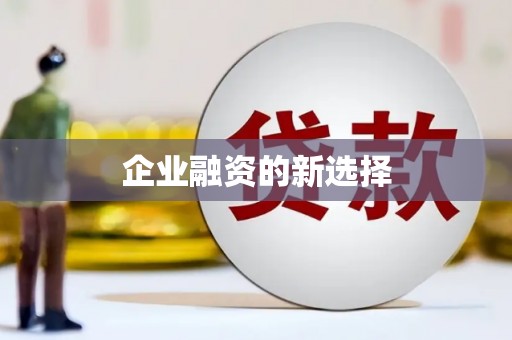邵阳县企业融资的新选择