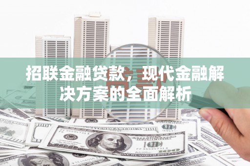 邵阳县招联金融贷款，现代金融解决方案的全面解析