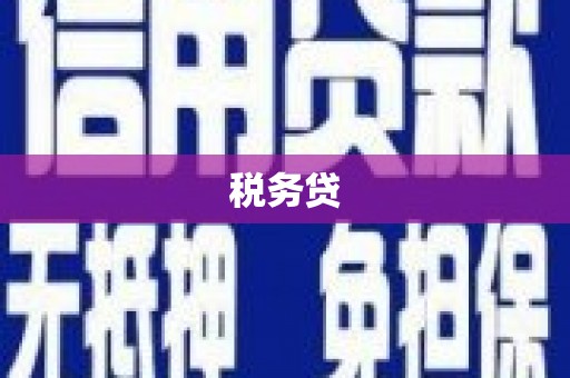 邵阳县税务贷