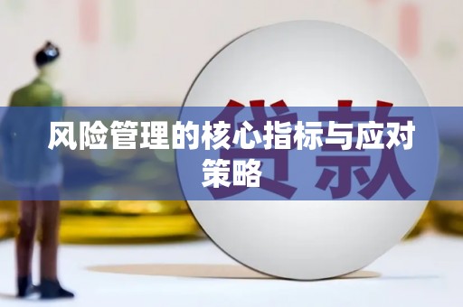 邵阳县风险管理的核心指标与应对策略