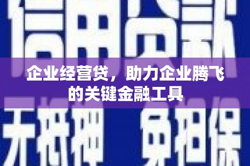 邵阳县企业经营贷，助力企业腾飞的关键金融工具
