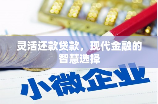 邵阳县灵活还款贷款，现代金融的智慧选择