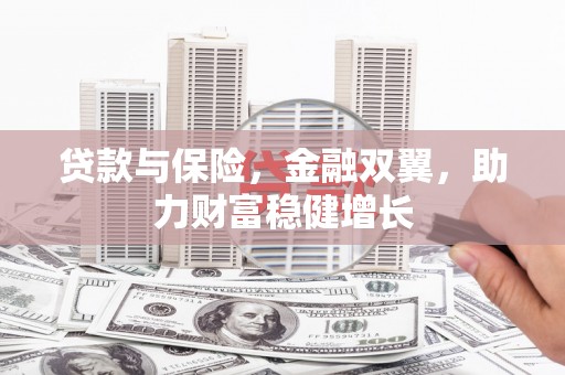 邵阳县贷款与保险，金融双翼，助力财富稳健增长