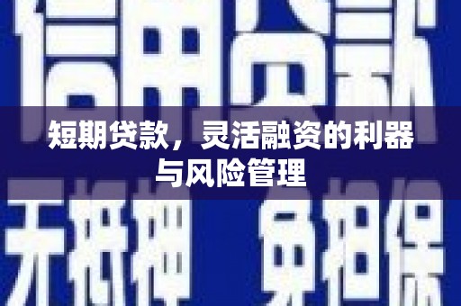 邵阳县短期贷款，灵活融资的利器与风险管理