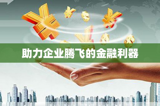 邵阳县助力企业腾飞的金融利器