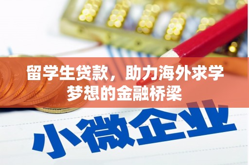 邵阳县留学生贷款，助力海外求学梦想的金融桥梁