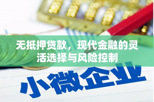 邵阳县无抵押贷款，现代金融的灵活选择与风险控制