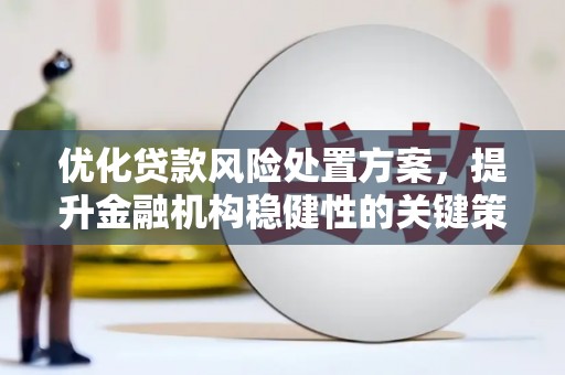 邵阳县优化贷款风险处置方案，提升金融机构稳健性的关键策略