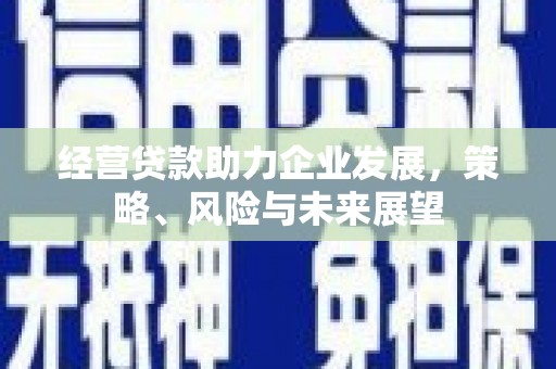 邵阳县经营贷款助力企业发展，策略、风险与未来展望