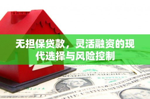 邵阳县无担保贷款，灵活融资的现代选择与风险控制