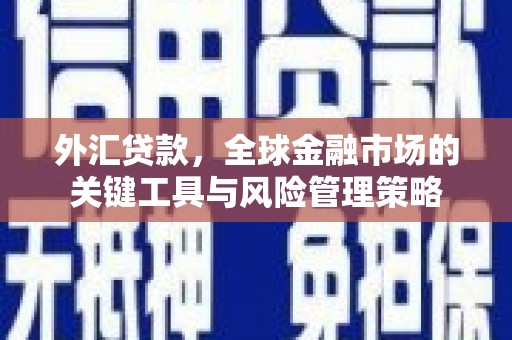 邵阳县外汇贷款，全球金融市场的关键工具与风险管理策略