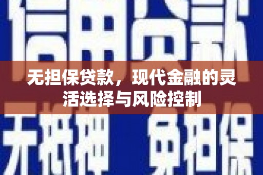 邵阳县无担保贷款，现代金融的灵活选择与风险控制