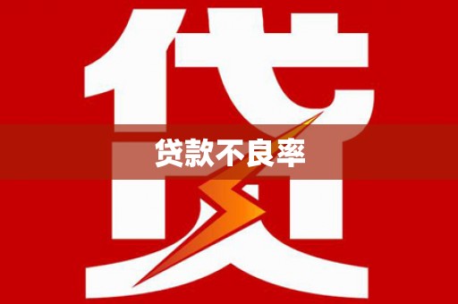 邵阳县贷款不良率