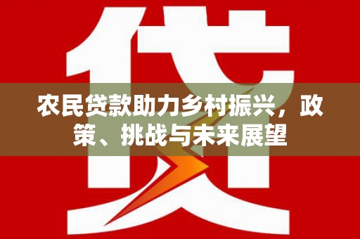 邵阳县农民贷款助力乡村振兴，政策、挑战与未来展望