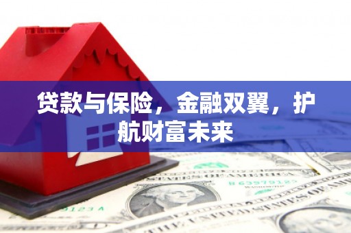 邵阳县贷款与保险，金融双翼，护航财富未来