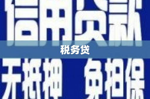 邵阳县税务贷
