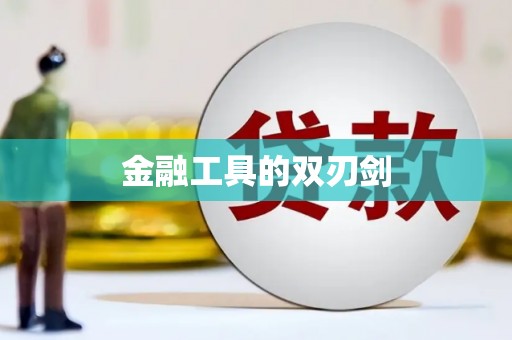 邵阳县金融工具的双刃剑