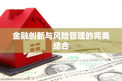 邵阳县金融创新与风险管理的完美结合