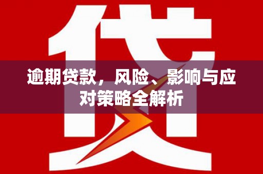 邵阳县逾期贷款，风险、影响与应对策略全解析