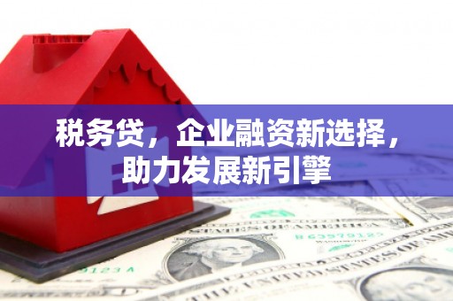 邵阳县税务贷，企业融资新选择，助力发展新引擎