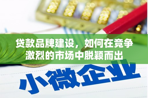 邵阳县贷款品牌建设，如何在竞争激烈的市场中脱颖而出