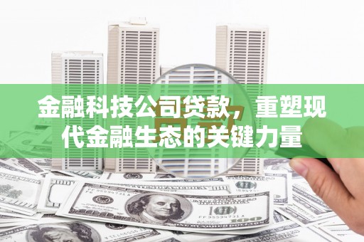 邵阳县金融科技公司贷款，重塑现代金融生态的关键力量