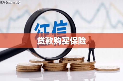 邵阳县贷款购买保险