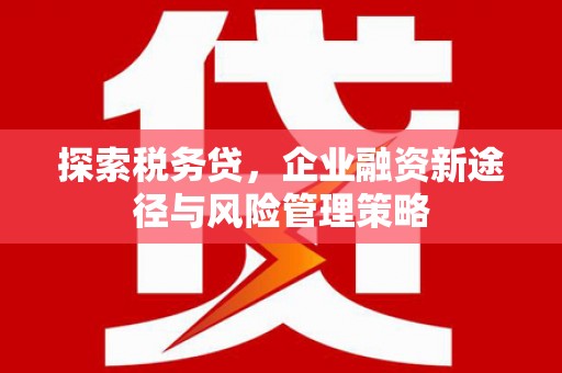 邵阳县探索税务贷，企业融资新途径与风险管理策略